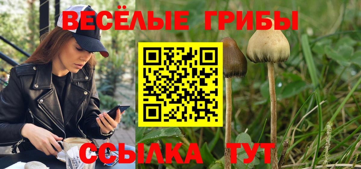 Псилоцибиновые грибы мицелий Воркута